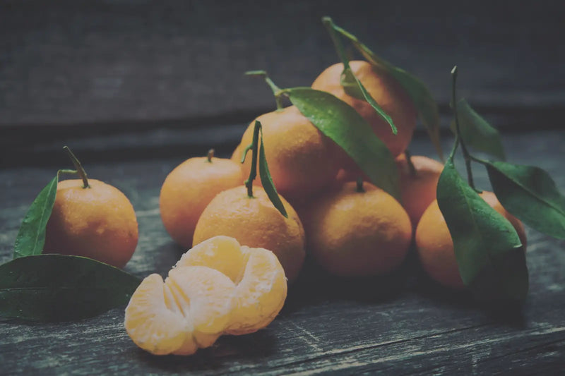 Qual a melhor vitamina para quem fez bariátrica? Guia 2026