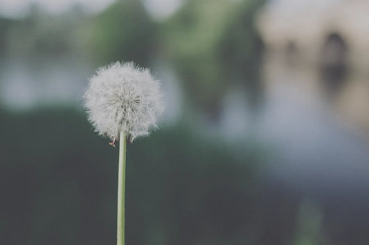 Queda de cabelo pós-bariátrica: causas e o que tomar